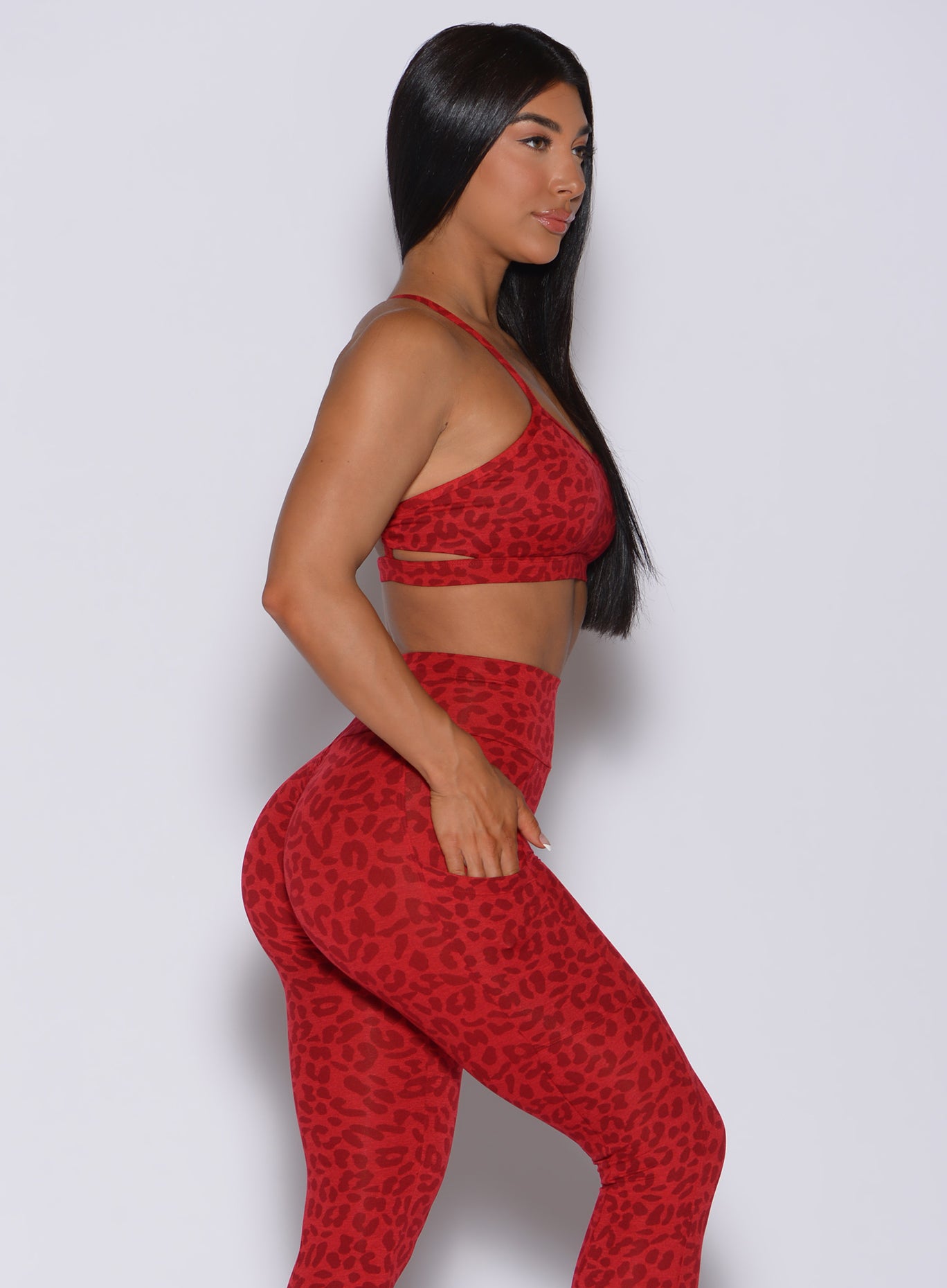 Cheetah Print Collection