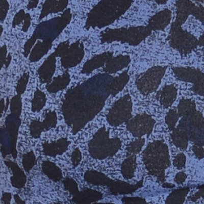 Color Blue Leopard