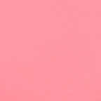 Color Flamingo